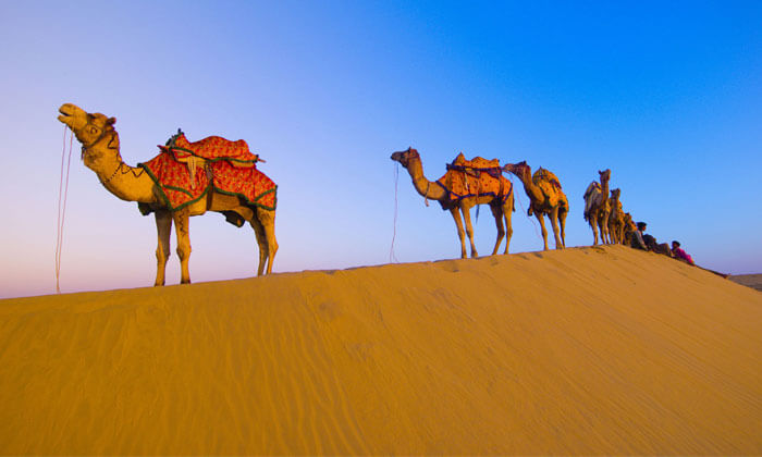 Rajasthan, the largest state in India, is renowned for its vibrant culture, majestic forts, opulent palaces, and vast deserts.